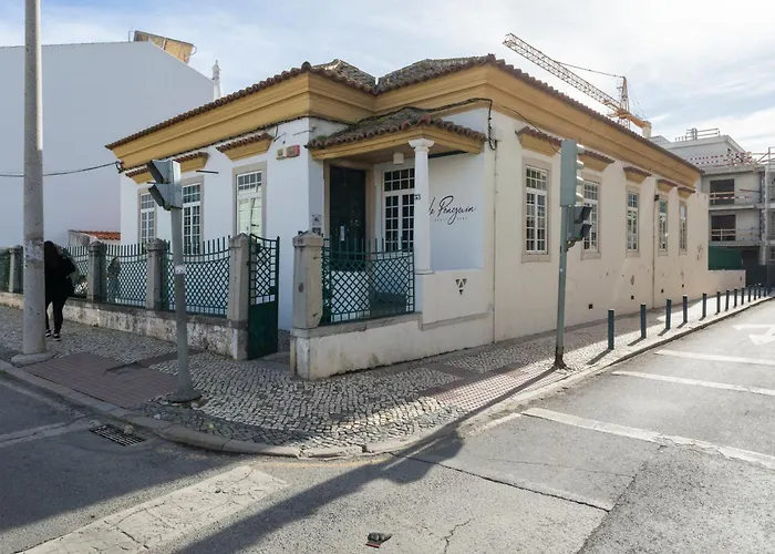 Le Penguin HostelHostel